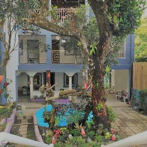Purple Orchid Bed And Breakfast